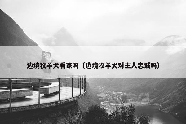 边境牧羊犬看家吗（边境牧羊犬对主人忠诚吗）