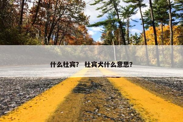 什么杜宾？ 杜宾犬什么意思？