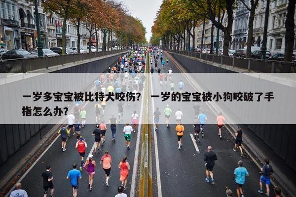 一岁多宝宝被比特犬咬伤? 一岁的宝宝被小狗咬破了手指怎么办?