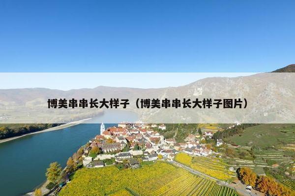 博美串串长大样子（博美串串长大样子图片）