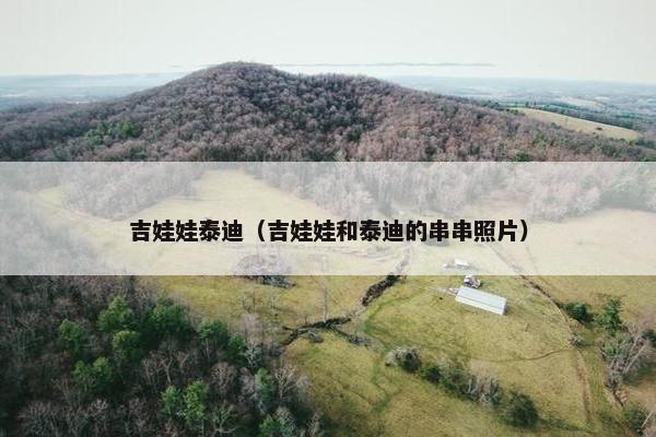 比吉