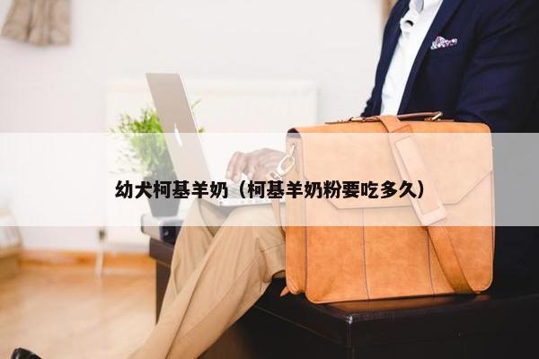 幼犬柯基羊奶（柯基羊奶粉要吃多久）
