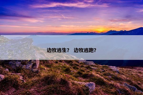 边牧逃生？ 边牧逃跑？