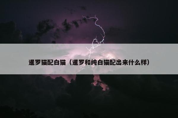 暹罗猫配白猫（暹罗和纯白猫配出来什么样）