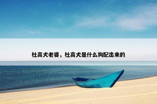 杜高犬老婆，杜高犬是什么狗配出来的
