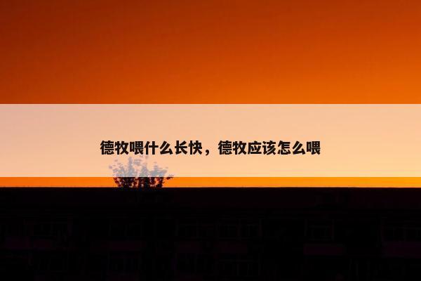 德牧喂什么长快，德牧应该怎么喂