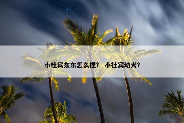小杜宾东东怎么捏？ 小杜宾幼犬？