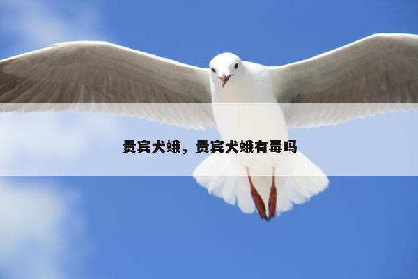 贵宾犬蛾，贵宾犬蛾有毒吗
