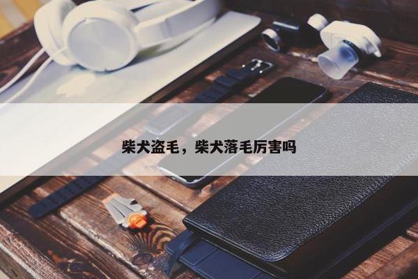 柴犬盗毛，柴犬落毛厉害吗