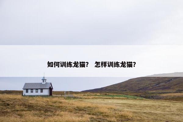 如何训练龙猫? 怎样训练龙猫?