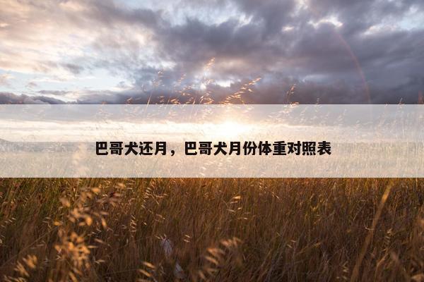 巴哥犬还月，巴哥犬月份体重对照表