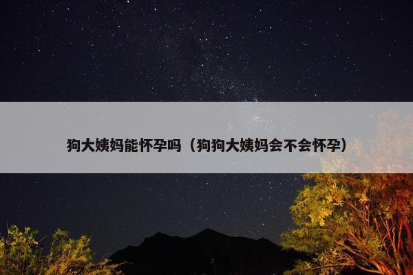 狗大姨妈能怀孕吗（狗狗大姨妈会不会怀孕）