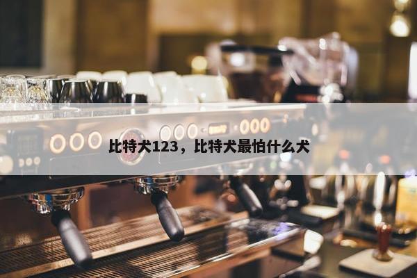 比特犬123，比特犬最怕什么犬
