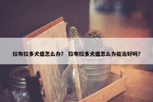 拉布拉多犬瘟怎么办？ 拉布拉多犬瘟怎么办能治好吗？