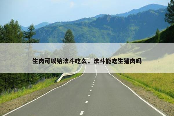 生肉可以给法斗吃么，法斗能吃生猪肉吗