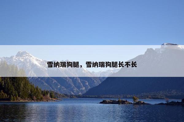 雪纳瑞狗腿，雪纳瑞狗腿长不长