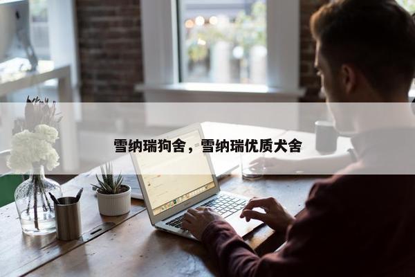 雪纳瑞狗舍，雪纳瑞优质犬舍
