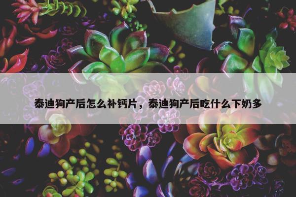 泰迪狗产后怎么补钙片，泰迪狗产后吃什么下奶多