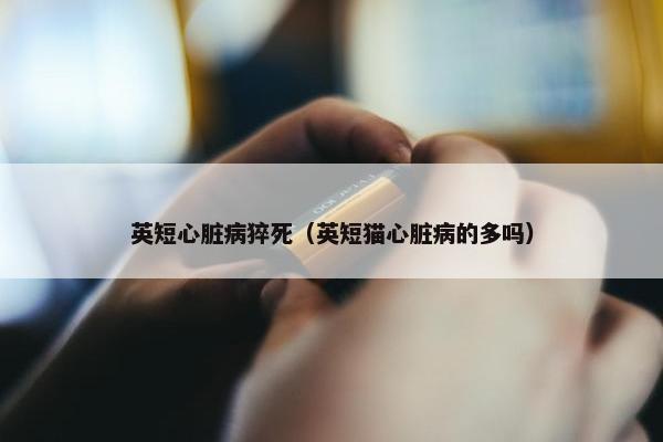 英短心脏病猝死（英短猫心脏病的多吗）