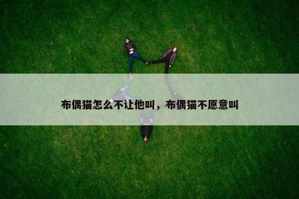 布偶猫怎么不让他叫，布偶猫不愿意叫