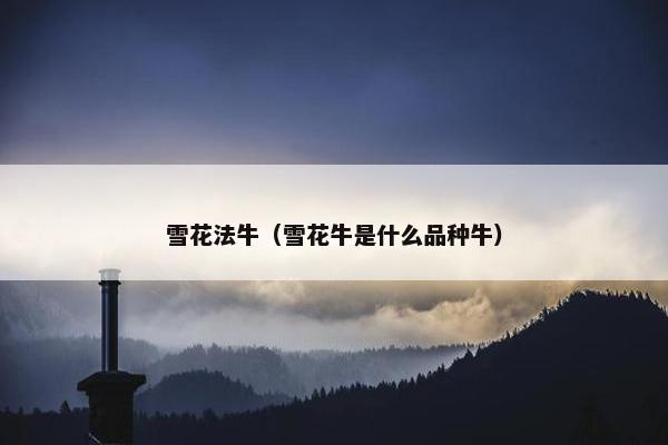 雪花法牛（雪花牛是什么品种牛）
