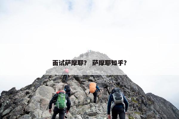 面试萨摩耶？ 萨摩耶知乎？