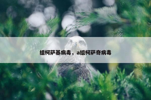 疱疹