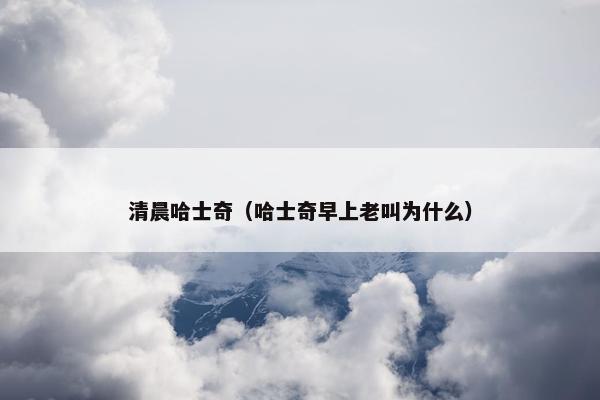 清晨哈士奇（哈士奇早上老叫为什么）