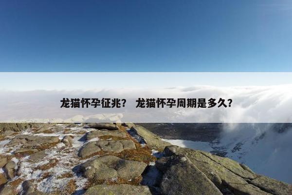 龙猫怀孕征兆? 龙猫怀孕周期是多久?