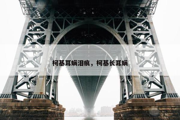 柯基耳螨泪痕，柯基长耳螨
