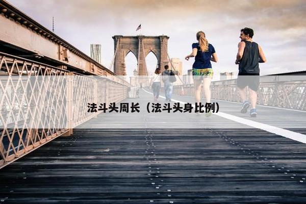 法斗头周长（法斗头身比例）