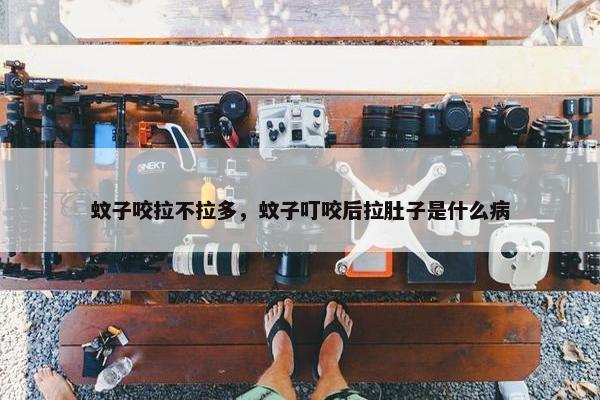 蚊子咬拉不拉多，蚊子叮咬后拉肚子是什么病