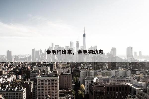金毛狗出来，金毛狗幼崽