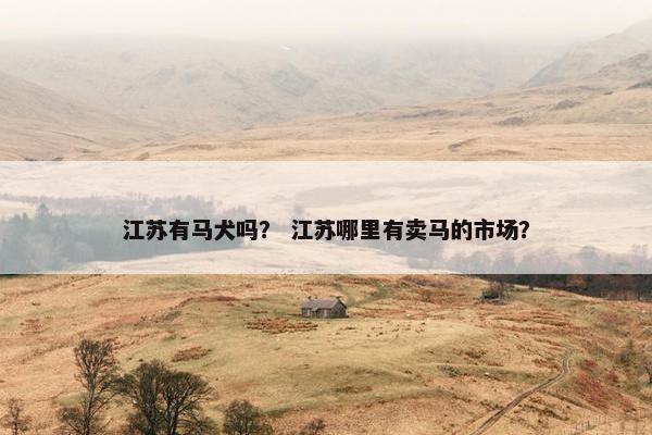 江苏有马犬吗？ 江苏哪里有卖马的市场？