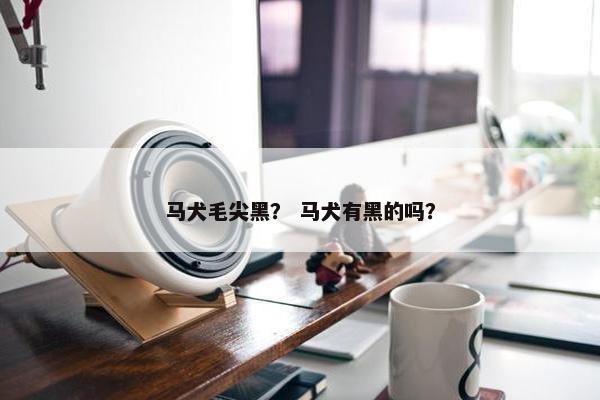 马犬毛尖黑？ 马犬有黑的吗？