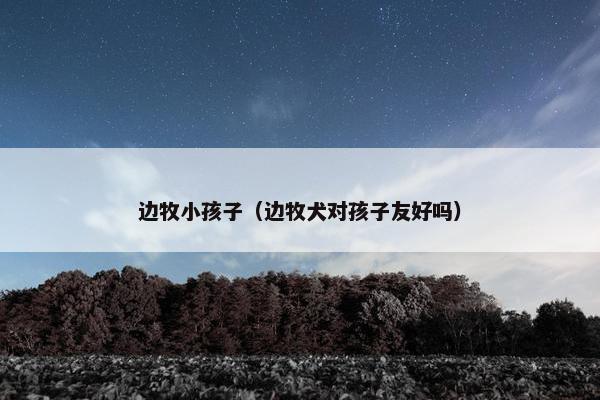 边牧小孩子（边牧犬对孩子友好吗）