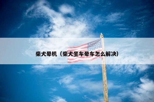 柴犬晕机（柴犬坐车晕车怎么解决）