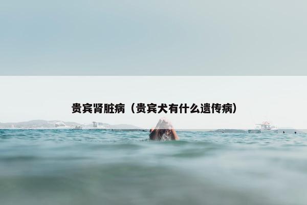 贵宾肾脏病（贵宾犬有什么遗传病）