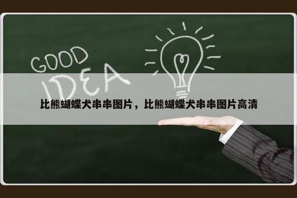 比熊蝴蝶犬串串图片，比熊蝴蝶犬串串图片高清
