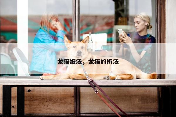 龙猫纸法，龙猫的折法