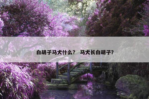 白胡子马犬什么？ 马犬长白胡子？