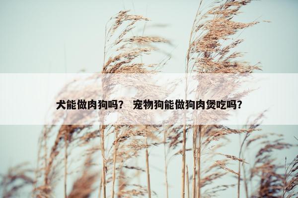 犬能做肉狗吗？ 宠物狗能做狗肉煲吃吗？