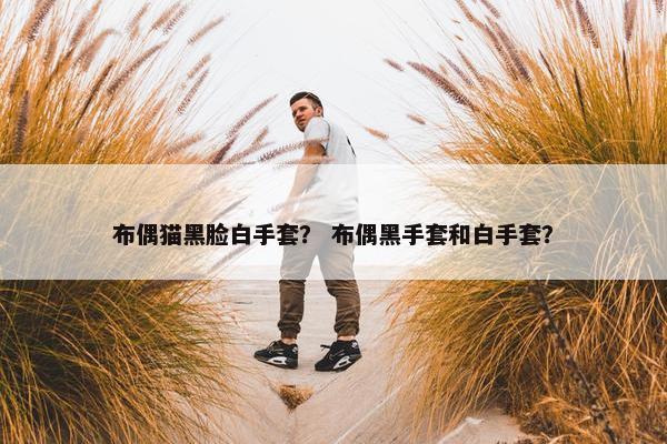 布偶猫黑脸白手套？ 布偶黑手套和白手套？