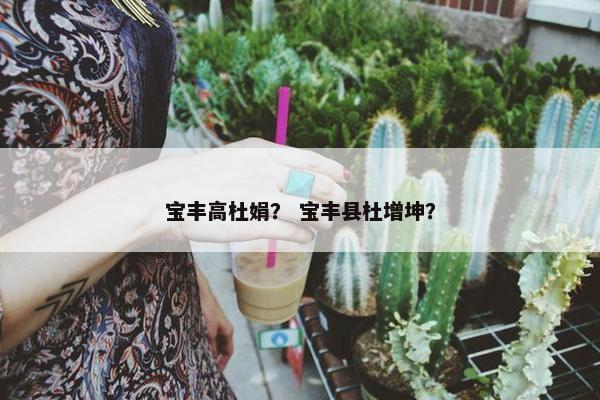 宝丰高杜娟？ 宝丰县杜增坤？