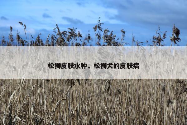 表现 第3页