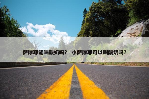 萨摩耶能喝酸奶吗? 小萨摩耶可以喝酸奶吗?