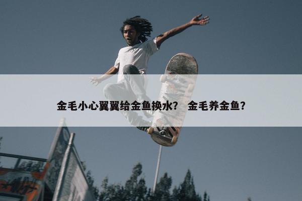 金毛小心翼翼给金鱼换水？ 金毛养金鱼？