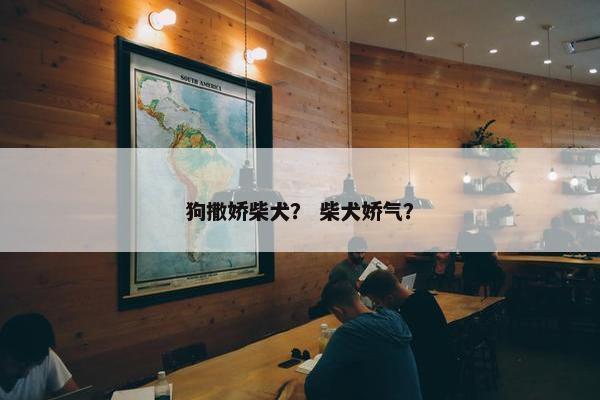 狗撒娇柴犬？ 柴犬娇气？