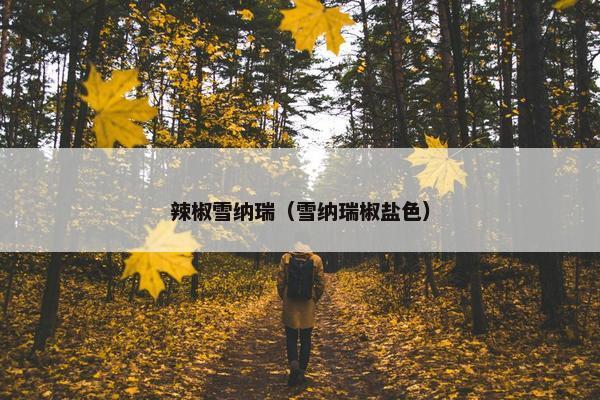 辣椒雪纳瑞（雪纳瑞椒盐色）