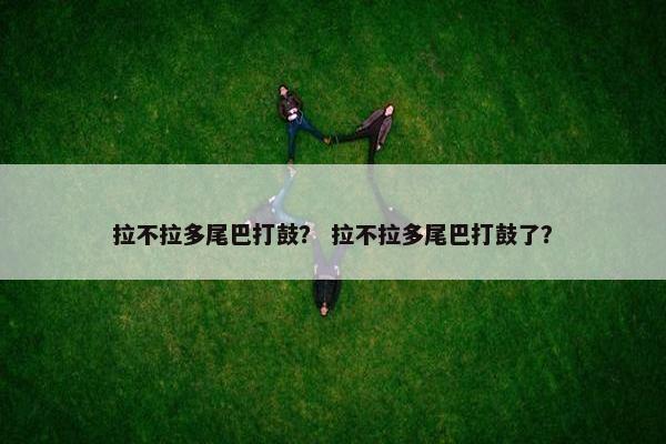 拉不拉多尾巴打鼓? 拉不拉多尾巴打鼓了?